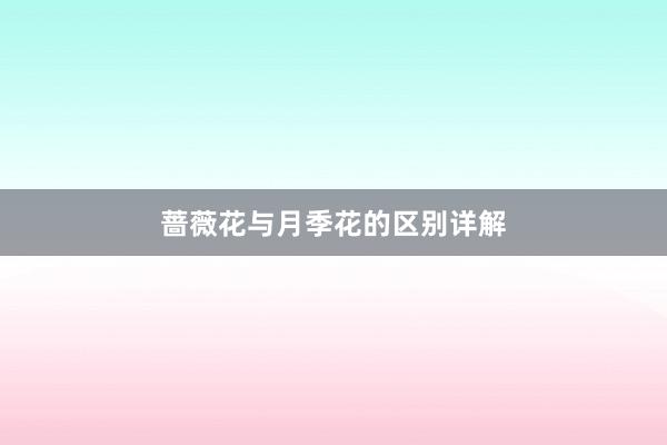 蔷薇花与月季花的区别详解