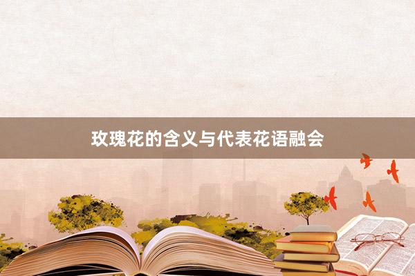 玫瑰花的含义与代表花语融会