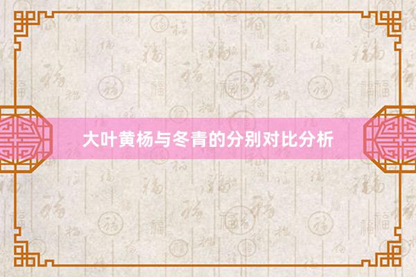 大叶黄杨与冬青的分别对比分析