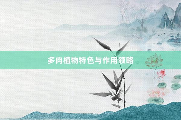 多肉植物特色与作用领略