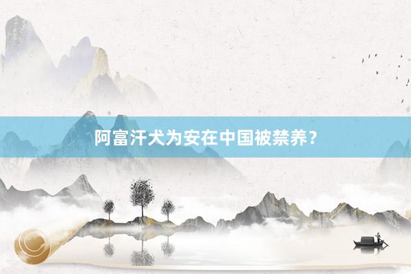 阿富汗犬为安在中国被禁养？