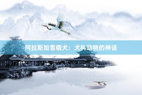 阿拉斯加雪橇犬：犬科动物的神话