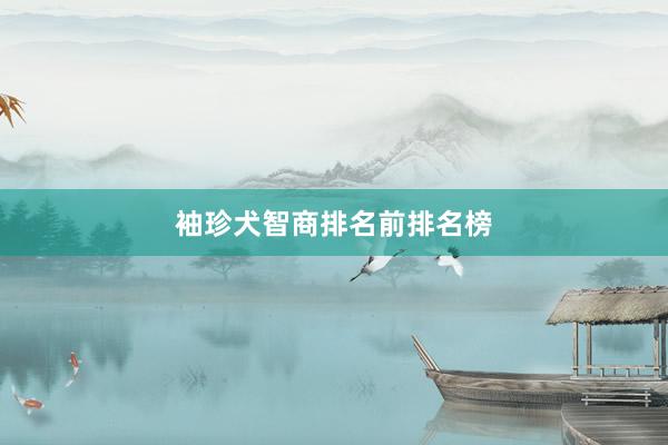袖珍犬智商排名前排名榜